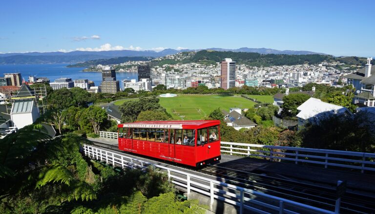 Partiu estudar na Nova Zelândia? Dá uma olhada nessa oportunidade