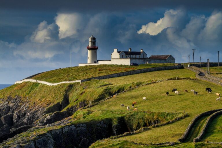 Bora morar e trabalhar na Irlanda? Confira essa oportunidade